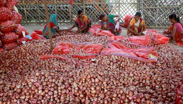 Onion prices fall 35% to Rs 900 per quintal after I-T raids on Nashik traders