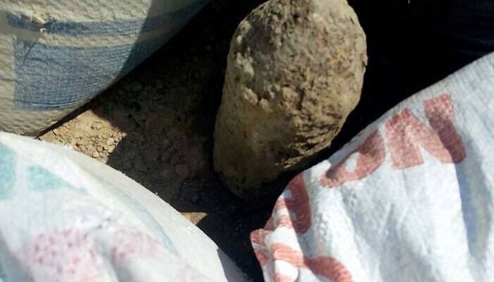 Old live bomb found near Pathankot railway station, sniffer dogs called in