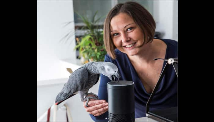 Pet parrot mimics owner, orders gift boxes worth $13.50 online!