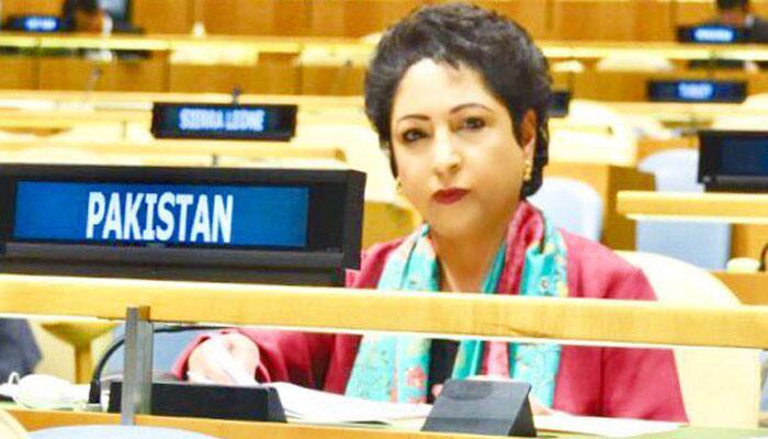 Rattled by Sushma&#039;s speech, Pak envoy calls India &#039;mother of terrorism in South Asia&#039;