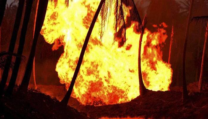 Brazil horror: Guard burns 4 toddlers, teacher after spraying with them alcohol