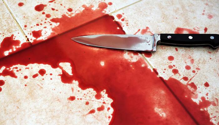 Delhi bartender hacked to death, chopped body found in fridge