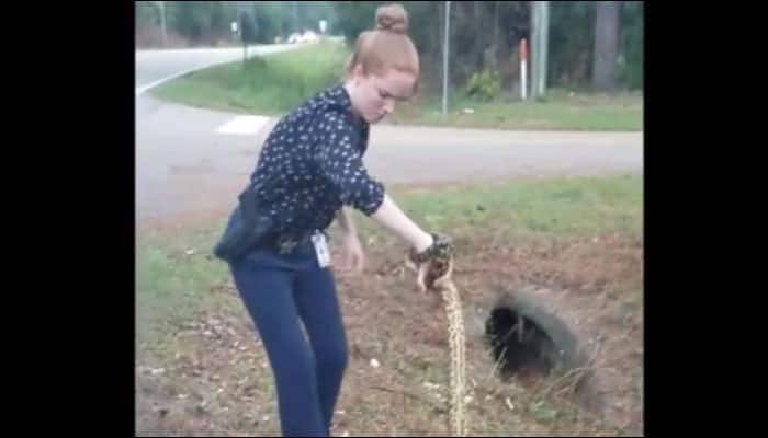 US detective rescues 9-foot-long Yellow Anaconda with her bare hands - Watch
