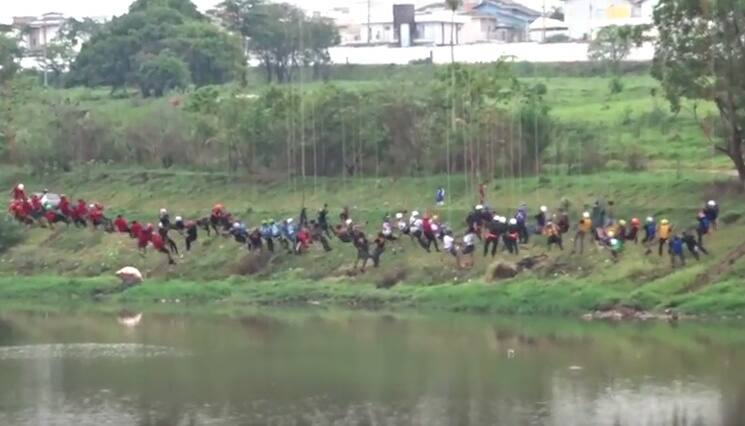 245 people jumped off a bridge together. Find out why - Watch