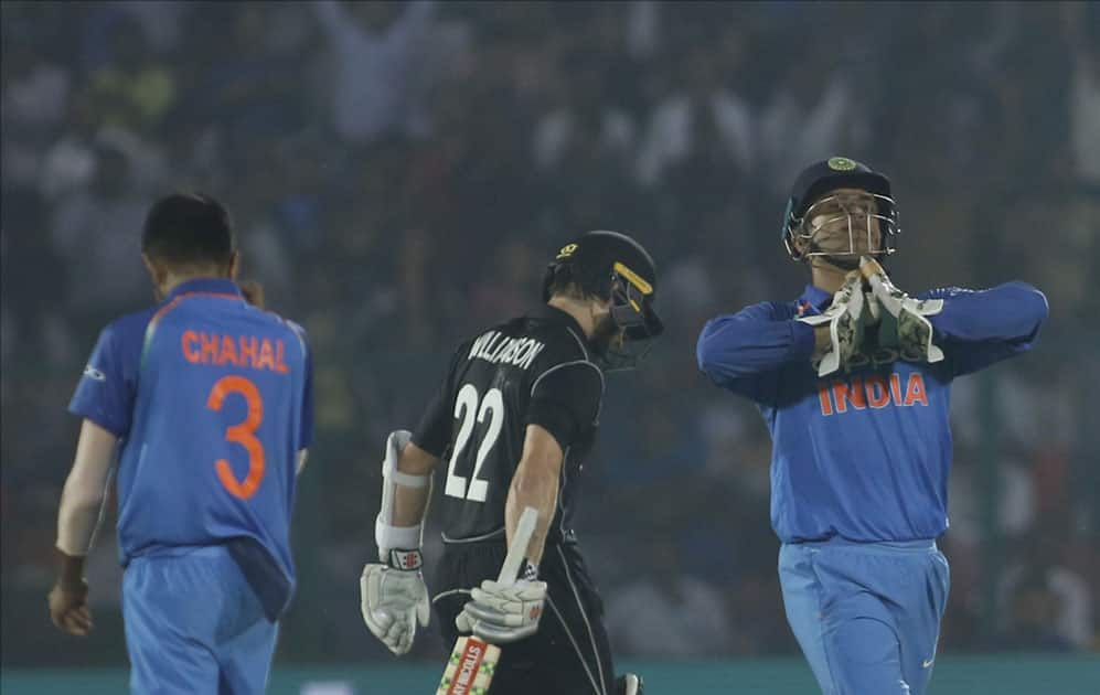 India's MS Dhoni celebrates fall of Kane Williamson's wicket during the third ODI match between India and New Zealand at Green Park Stadium in Kanpur.