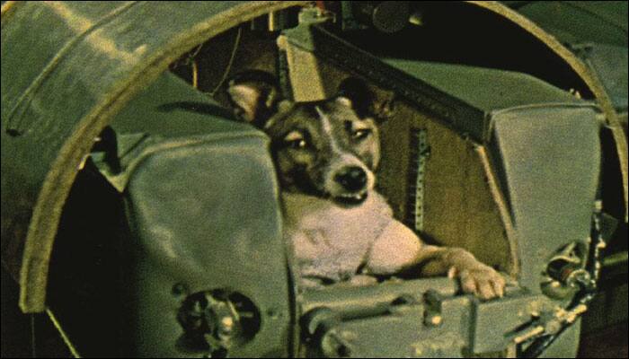 60 years ago today, a dog became the world&#039;s first astronaut