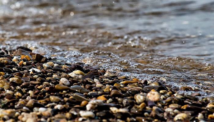 11 bodies recovered after boat capsizes in Andhra Pradesh