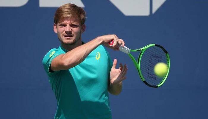 ATP Finals: David Goffin sets up semi-final date with Roger Federer