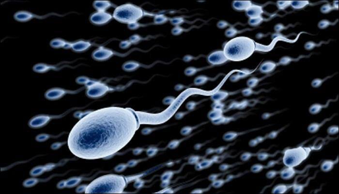 Exposure to air pollution may cause small, abnormal-shaped sperm: Study