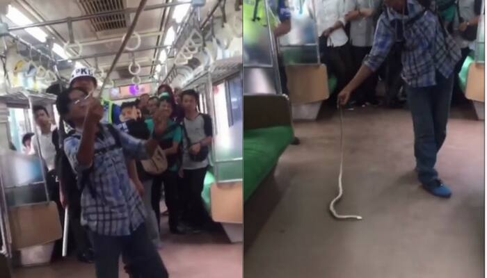 New internet hero! Indonesian man uses bare hands to kill snake on train