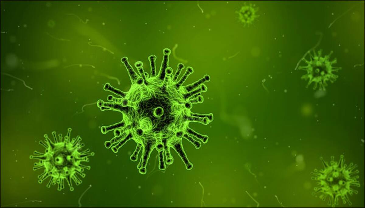 Man Develops Rare Infection 30 Years After First Exposure Live Science