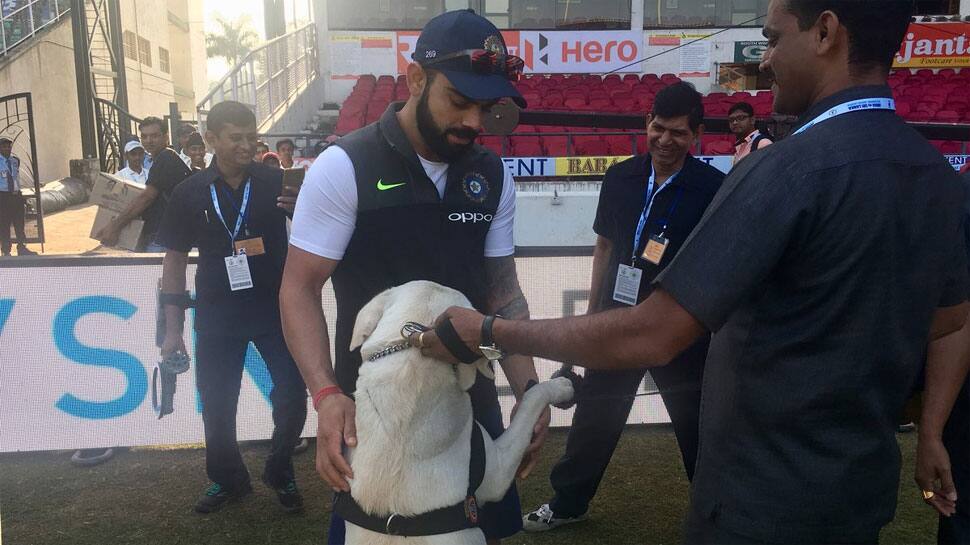WATCH: Virat Kohli&#039;s love affair with dogs continues in Nagpur