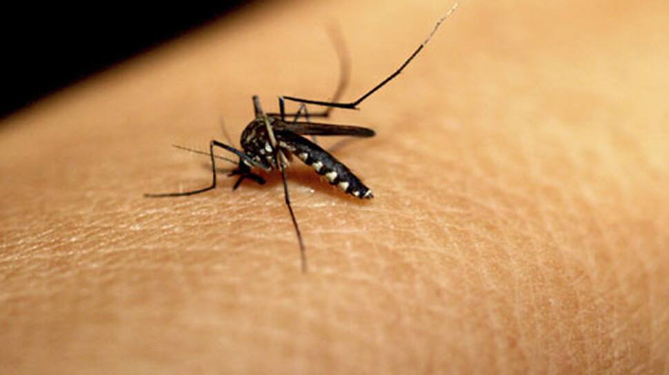 Dengue claims life of seven-year-old boy