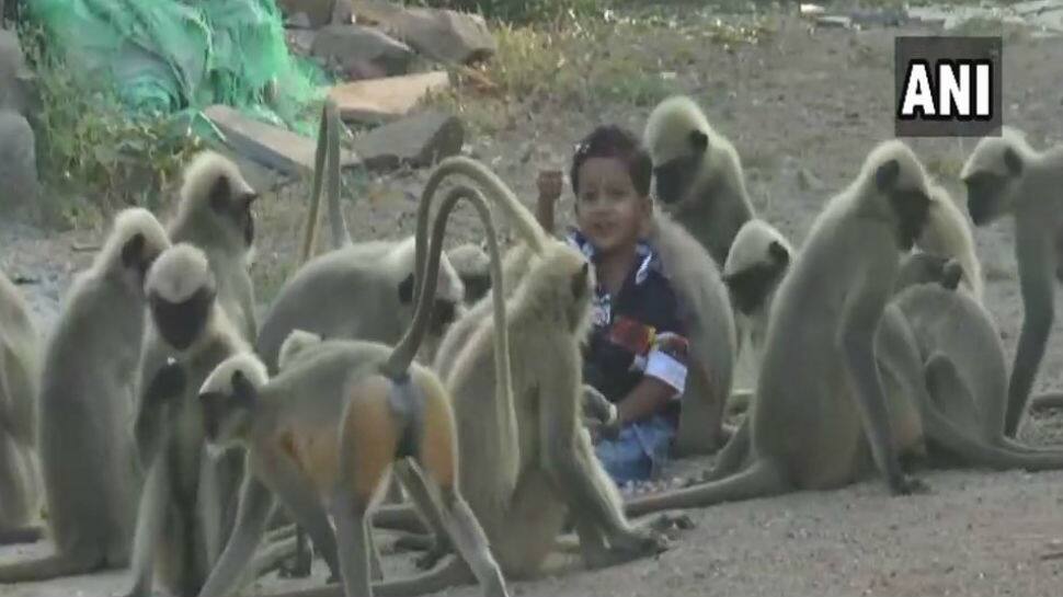 Meet this one-year-old Karnataka boy whose friends are monkeys