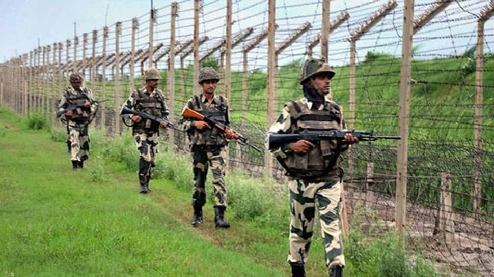 10,000 kg narcotics, Rs 49 lakh fake notes, cattle heads seized from Indian borders