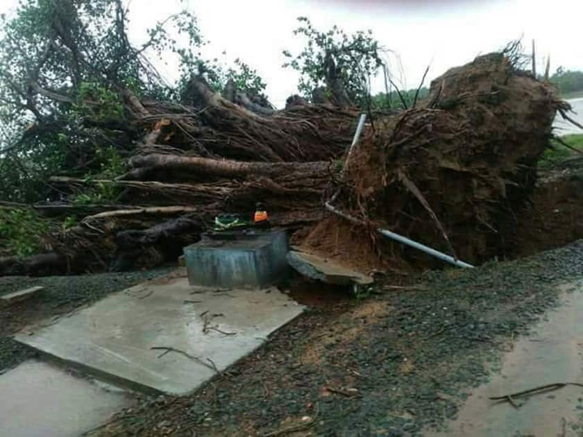 A cyclone alert has been sounded in Kerala and Tamil Nadu on Thursday after strong winds and heavy rain hit southern districts in the states.