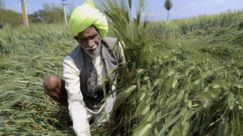 Rajasthan govt spent Rs 5,893 cr on agri sector in 4 yrs: Minister