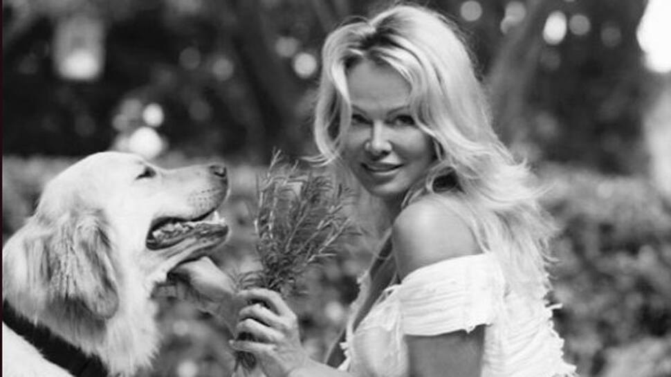 I wasn&#039;t victim blaming: Pamela Anderson