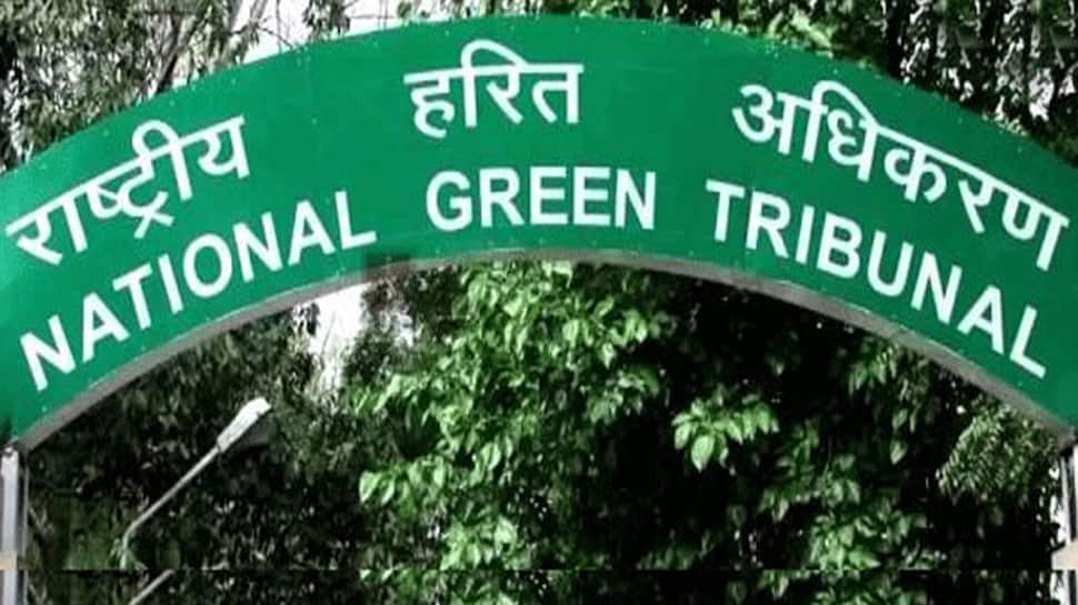 Ensure waste is not dumped in open: NGT to Shimla civic body