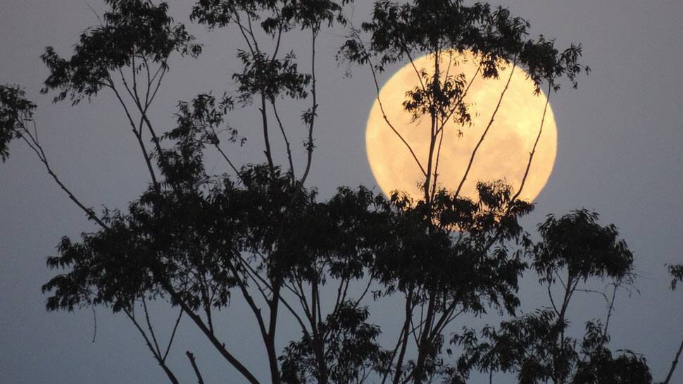 &#039;Supermoon&#039; brightens up skies for stargazers, Delhi misses the thrill