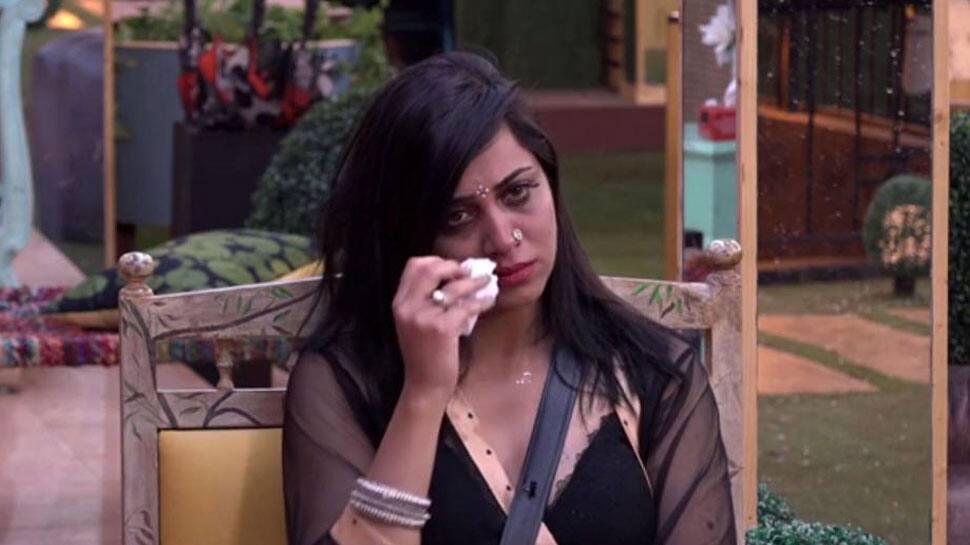 Bigg Boss 11: Will Arshi Khan&#039;s rival be a wildcard entry?