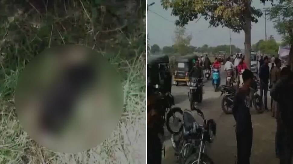 Dog seen carrying newborn&#039;s body outside hospital in Madhya Pradesh