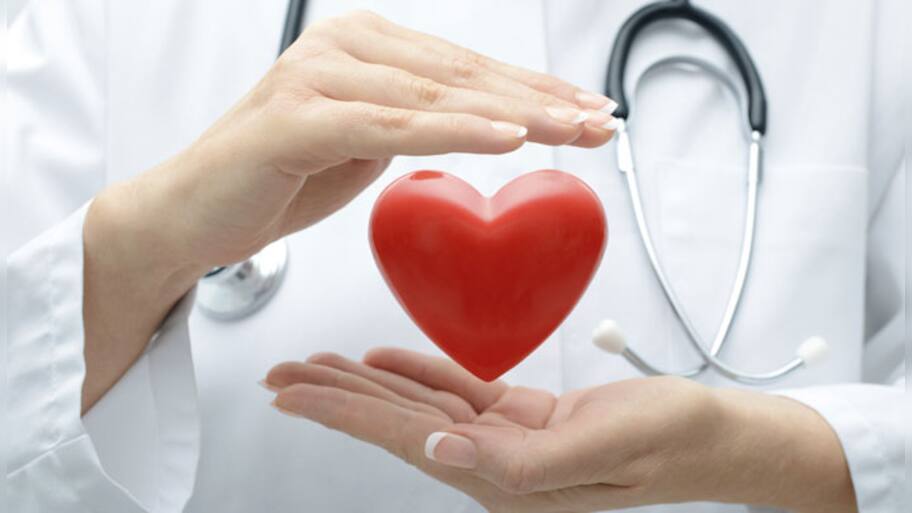 3D printed lifelike artificial organs developed