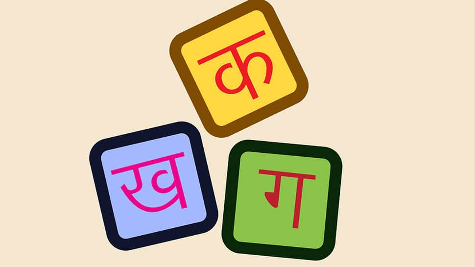 &#039;Hindi now fourth most-spoken language in New Zealand&#039;