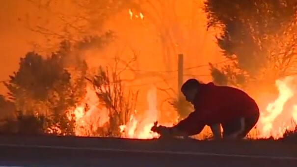WATCH: Man saves rabbit from running into California wildfire