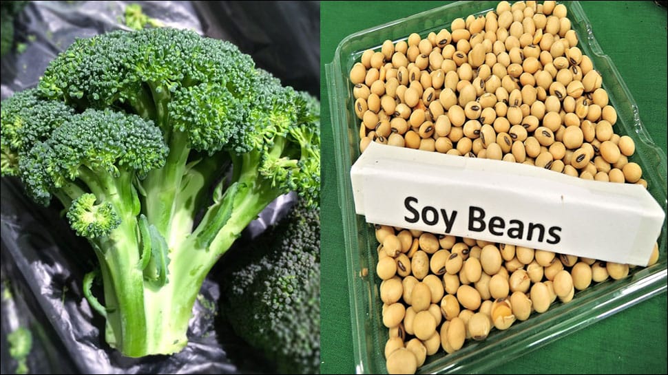 Soy, broccoli may cut breast cancer treatment&#039;s side effects