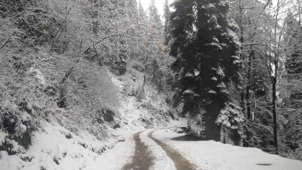 Snow covers Shimla's Tikkar area of Nawar valley, Himachal Pradesh. Snow covers Shimla's Tikkar area of Nawar valley, Himachal Pradesh.