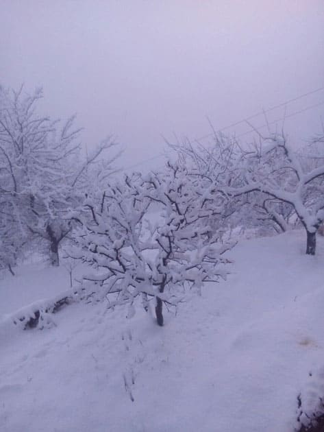 Snowfall wraps Bharmaur in Chamba, Himachal Pradesh. Snowfall wraps Bharmaur in Chamba, Himachal Pradesh.