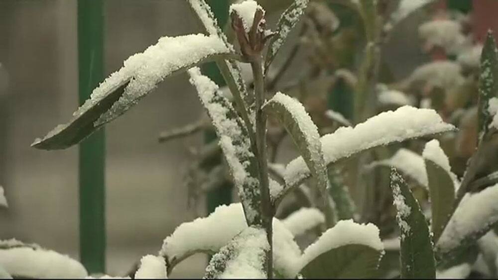 Srinagar receives season's first snowfall, Jammu & Kashmir. Srinagar receives season's first snowfall, Jammu & Kashmir.