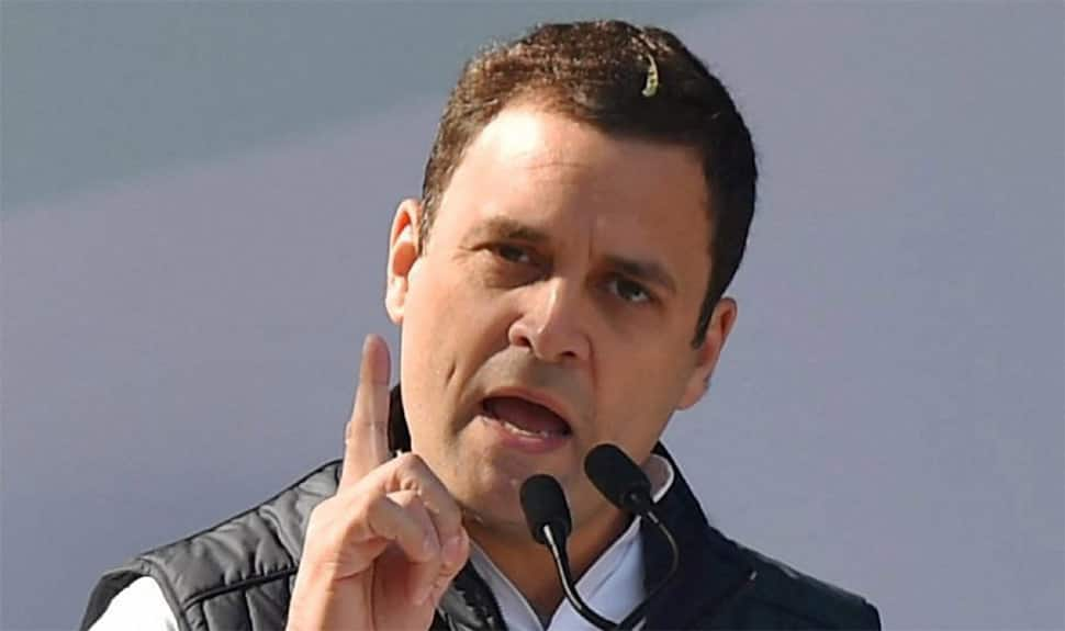 Rahul Gandhi born with silver spoon: BJP, allies scoff at Congress&#039; new President