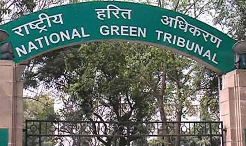 Close schools if air quality hits emergency mark: NGT to Delhi