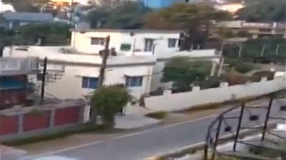 WATCH: Leopard creates ruckus, enters house in Dehradun