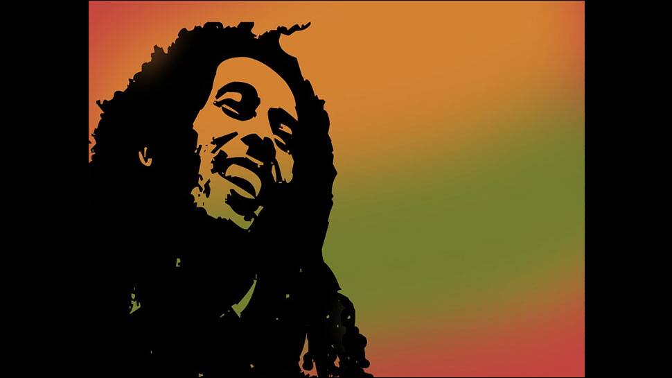 Scientists name new spider species after Bob Marley