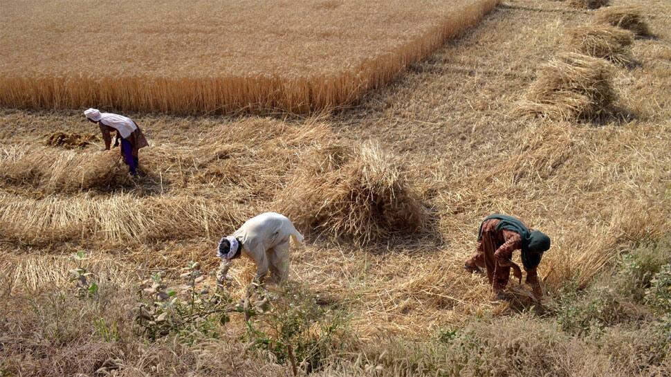 Dozen farmers injured in clash in UP&#039;s Banda, 8 arrested