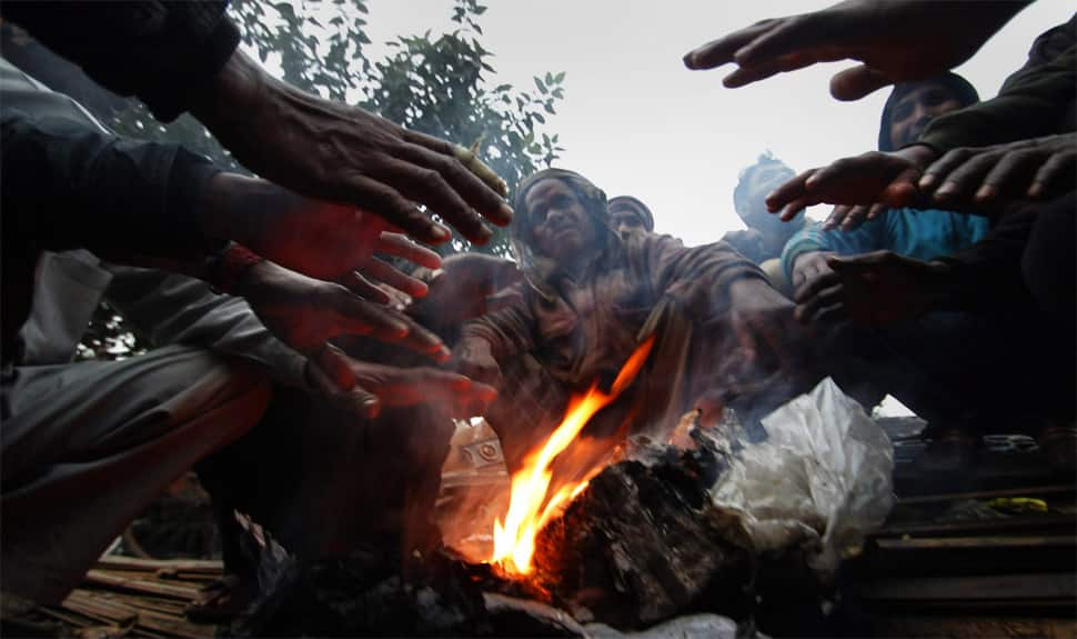 Cold winds sweep Rajasthan, mercury dips to minus 1.4 in Mount Abu