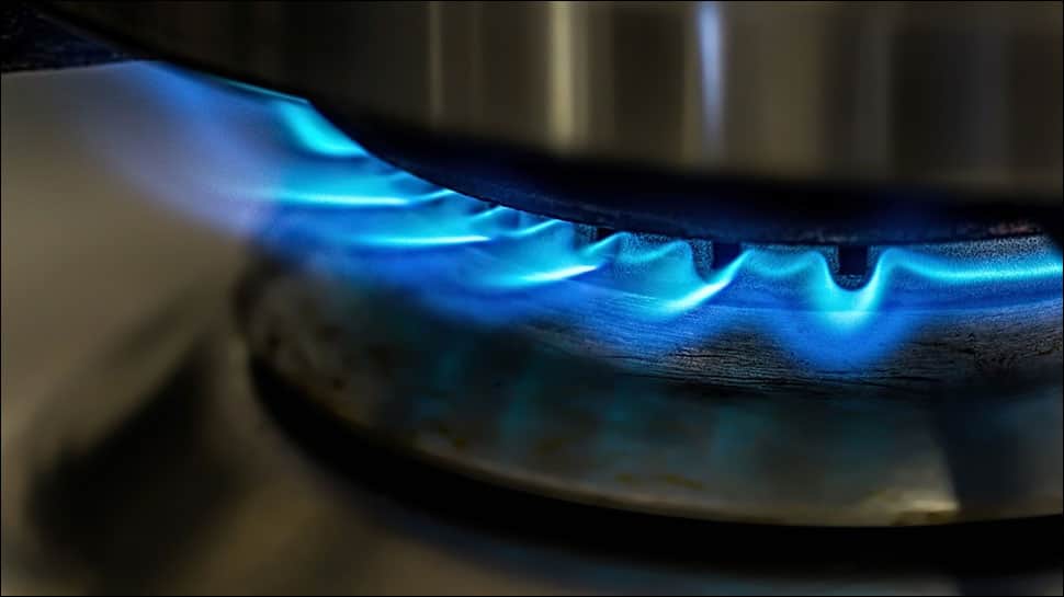 Traditional cookstoves causing detrimental impact on India's environment: Study Traditional cookstoves causing detrimental impact on India's environment: Study