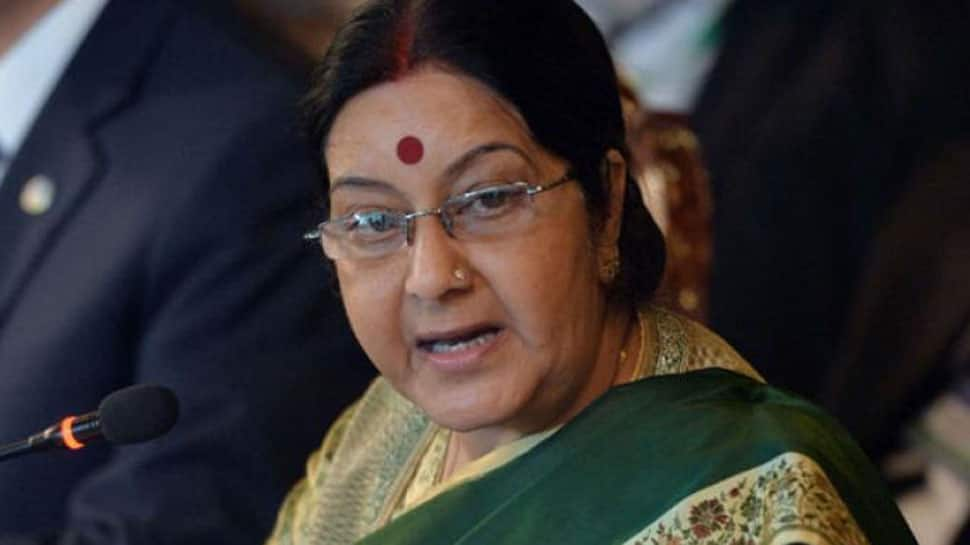 Government monitoring Brahmaputra to detect abnormalities: Sushma Swaraj