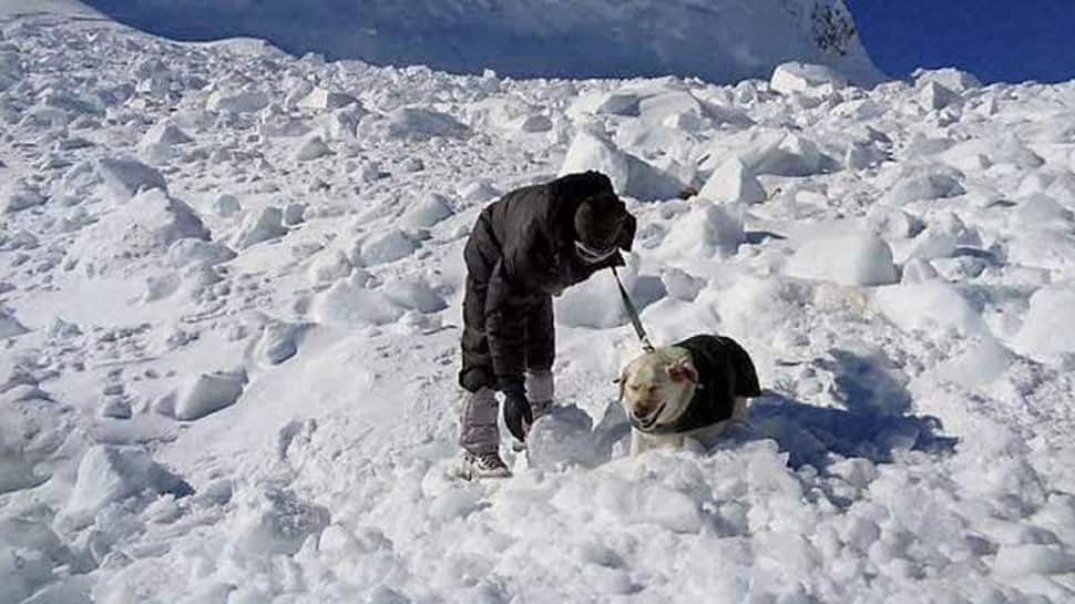 Kashmir: 5 bodies recovered from avalanche site in Kupwara; rescue operation on 