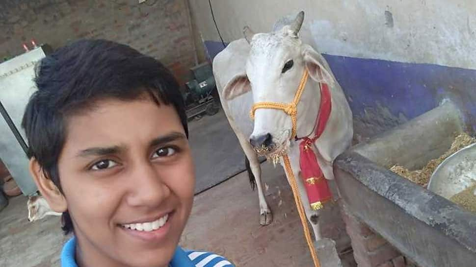 Haryana female boxers return cows given as awards by Manohar Lal Kharttar government