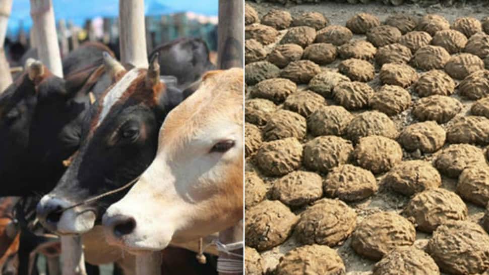 Indian Railways need to buy 3,350 truckloads of cow dung for Rs 42 cr in 2018 - Here&#039;s why