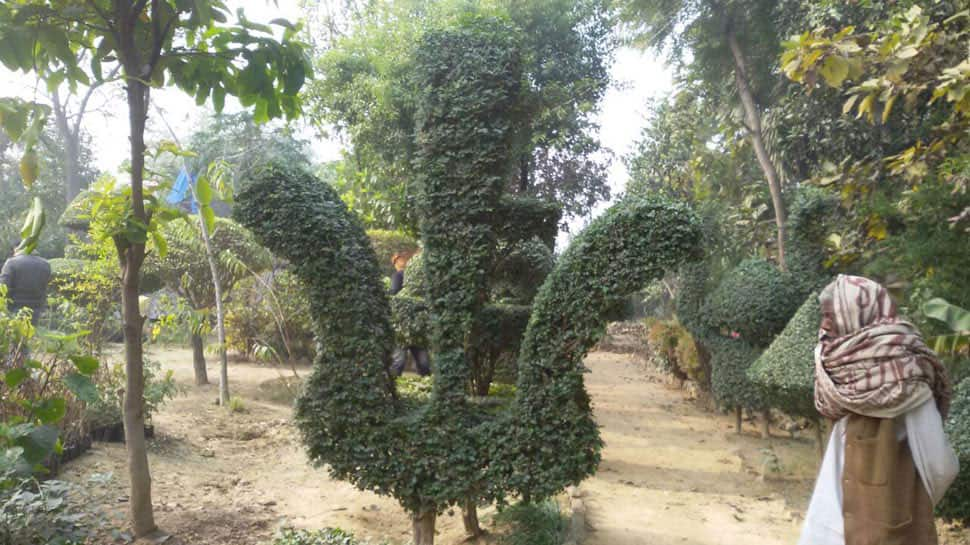 This young farmer&#039;s gardenscape has the world smitten