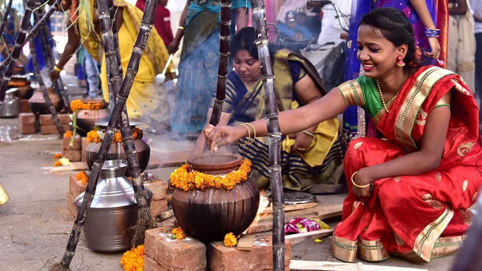 Pongal celebrated in Tamil Nadu, Puducherry; Jallikattu peps up festive