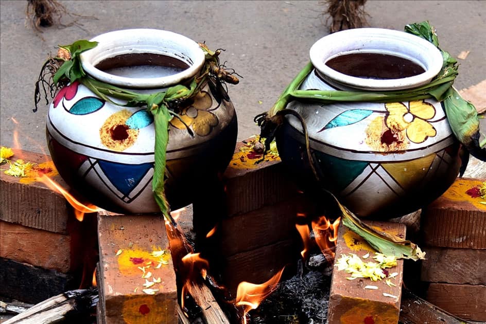 Sweet pongal being cooked inside earthen pots on brick stoves on the occasion of Makar Sankranti at Sudhamnagar in Bengaluru.