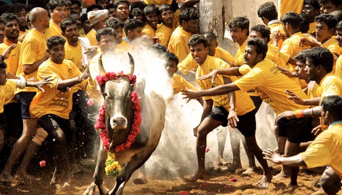 Teenager gored to death during Jallikattu festival in Tamil Nadu&#039;s Madurai