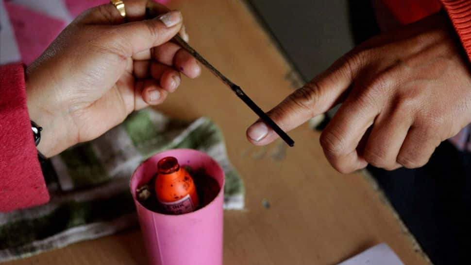 West Bengal bypolls: 76% votes cast in Uluberia, 75% in Noapara