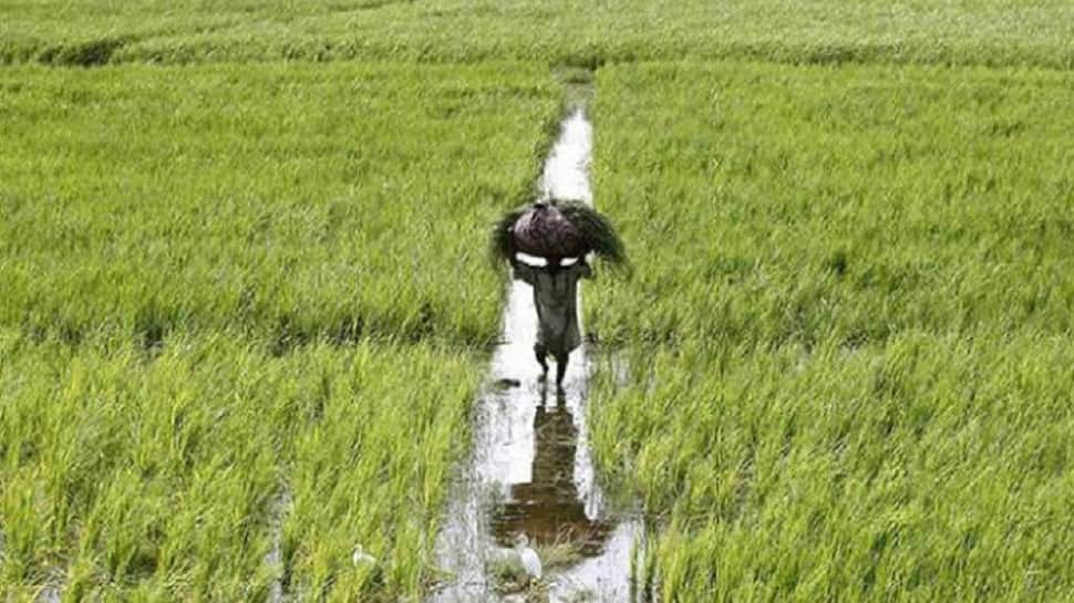 Budget 2018: Govt to take steps to promote agriculture commodity exports